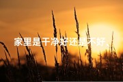 家里是干净好还是不好、《家居清洁，风水之道：打造干净好运势》
