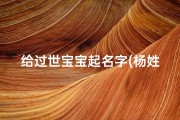 给过世宝宝起名字(杨姓熤给男宝宝取什么名字)