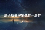 廖子航名字怎么样—廖梓航：寓意远航的男宝宝名字