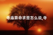 寺庙算命求签怎么说,寺庙求签是什么意思