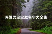 呼姓男宝宝取名字大全集(蒙古族的姓氏解释)