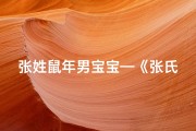 张姓鼠年男宝宝—《张氏鼠宝宝男孩精选名字大全》