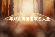 牛年郑姓男宝宝取名大全2021款—《郑姓男宝宝牛年取名禁忌全解析》