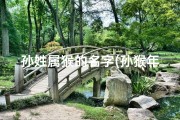 孙姓属猴的名字(孙猴年添喜宝，猴宝宝取名趣谈)