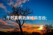 午时喜鹊进屋好吗吉凶;午时喜鹊进屋：吉凶预兆揭秘