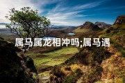 属马属龙相冲吗;属马遇龙财运旺，相合与否看天意