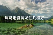 属马老婆属龙住几楼好—属马老婆属龙住几楼好：风水揭秘