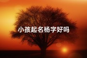 小孩起名杨字好吗