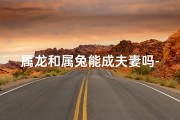 属龙和属兔能成夫妻吗-属龙和属兔的人能在一起吗