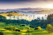 家里面能种金桔吗,金橘树家居风水：摆放禁忌与吉祥之道