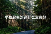 小孩起名刘译什么寓意好