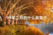 99年二月的什么属兔子是什么命,99年二月命格：揭秘你的命运密码