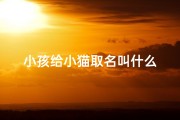 小孩给小猫取名叫什么