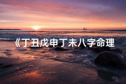《丁丑戊申丁未八字命理深度解析》
