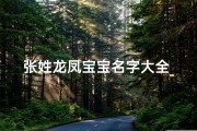 张姓龙凤宝宝名字大全_《张姓龙凤宝宝名字大全：精选美名汇聚一堂》