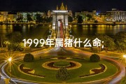 1999年属猪什么命;1999年属猪人命格揭秘：运势解析与人生指引