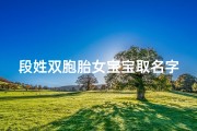 段姓双胞胎女宝宝取名字、段姓女宝宝起名大全2021年