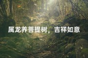 属龙养菩提树，吉祥如意好运来