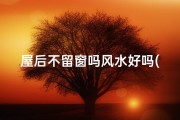 屋后不留窗吗风水好吗(屋后不留窗风水佳，家居布局宜忌解析)