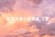 起名大全小孩男孩_《宝宝起名大全：男孩名字精选攻略》