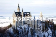 家里可以摆菜架子吗风水-家里摆菜架子风水宜忌解析
