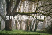 腊月出生的属龙人好吗？-张姓腊月龙宝宝，吉祥如意迎新春