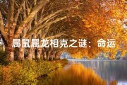属鼠属龙相克之谜：命运之轮如何转动