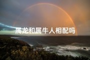 属龙和属牛人相配吗