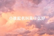 小孩起名叫吴什么好