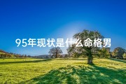 95年现状是什么命格男、《95年现状命格男性：揭秘当代命运之谜》