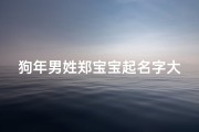 狗年男姓郑宝宝起名字大全(狗年男姓郑宝宝起名字大全两个字)