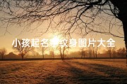 小孩起名字纹身图片大全-《童趣盎然：小孩名字纹身图案精选集》