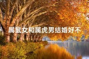 属鼠女和属虎男结婚好不好;鼠女虎男喜结连理，甜蜜爱情谱新篇