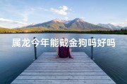 属龙今年能戴金狗吗好吗