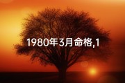 1980年3月命格,1980年3月出生