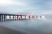 属龙之人种植吉祥植物，好运连连