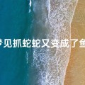 梦见抓蛇蛇又变成了鱼-梦见抓蛇蛇又变成了鱼了