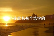 小孩起名有个浩字的
