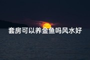 套房可以养金鱼吗风水好吗
