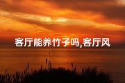 客厅能养竹子吗,客厅风水养竹子，旺运又添绿意