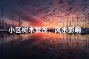 小区树木繁茂，风水影响几何？
