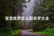 宝宝姓罗怎么取名字大全(罗姓女宝宝取名大全女孩子姓罗取什么名字好)