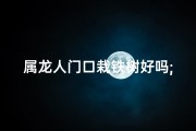 属龙人门口栽铁树好吗;属龙宝宝种了铁树怎么办？
