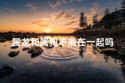 属龙和属狗不能在一起吗,属龙属狗婚配禁忌：真的不能在一起吗？