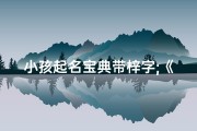 小孩起名宝典带梓字;《梓字宝宝起名宝典：创意无限，寓意美好》