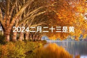 2024二月二十三是黄道吉日吗_2024年2月23日农历