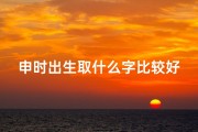 申时出生取什么字比较好、《何姓申时男虎宝宝，吉祥如意的名字揭晓》