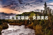 二龙宝宝萌动，女孩美名待揭晓