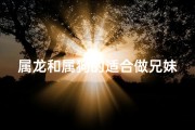 属龙和属狗的适合做兄妹吗