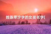 姓陈带汐字的女孩名字(龙宝宝取名陈汐辰：寓意深远，星辰闪耀)